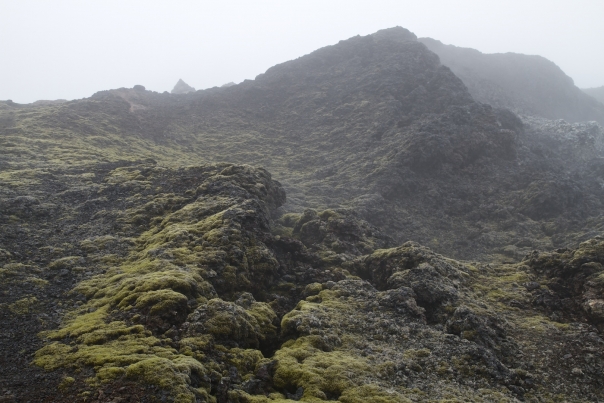 Island_259