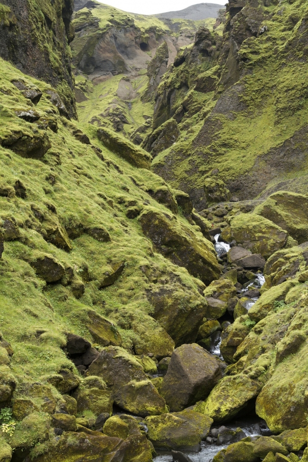 Island_406