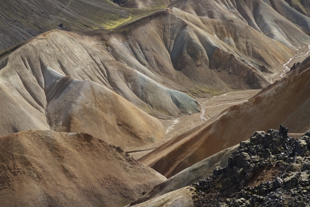 Island_461