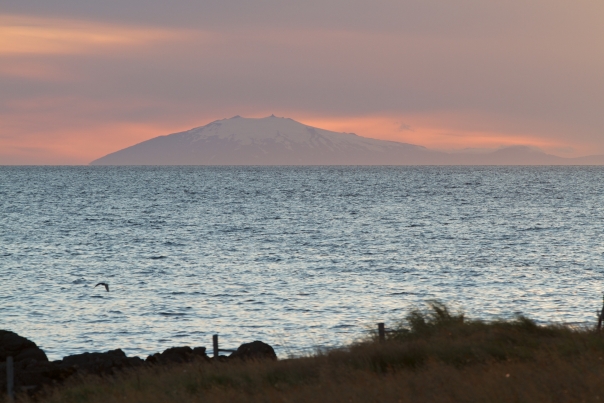 Island_Tag1_2