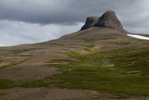 Island_Tag4_1