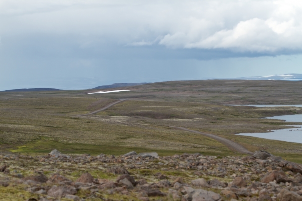Island_Tag4_3