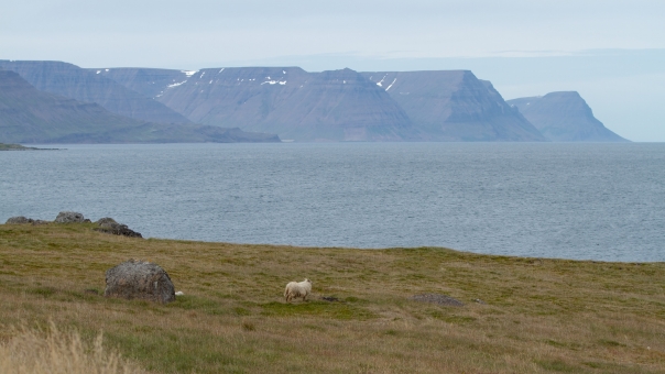 Island_Tag5_2